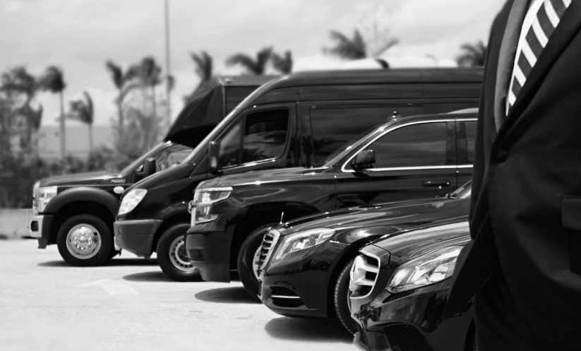 Perfect Guide For Starting A Transportation Business