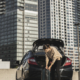 5 Reasons a Limo is the Best Way to See Seattle’s Landmarks